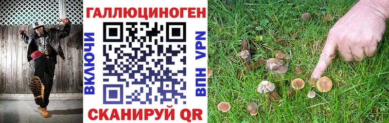 Галлюциногенные грибы мухоморы  блэк спрут ONION  Талдом  купить наркотики цена 