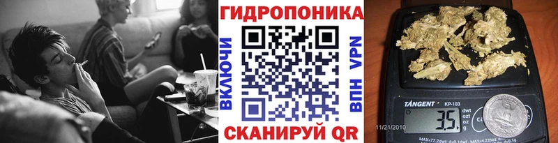 Канабис SATIVA & INDICA  дарнет шоп  hydra ТОР  Талдом 